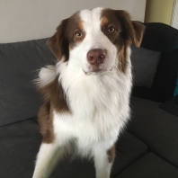 Profilová fotografie