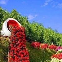 Profilová fotografie